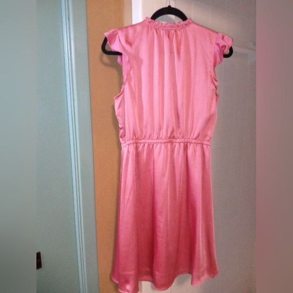 💕Pretty in Pink dress💕 - Picture 4 of 5